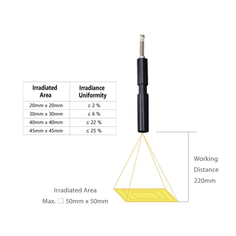 xef 20s1 irradiated area